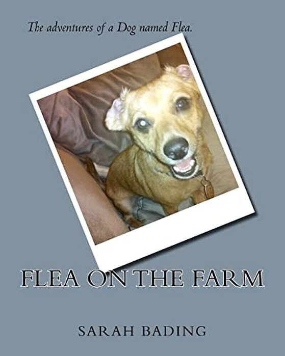 Flea On The Farm-..
