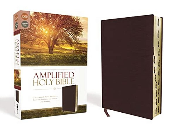 Amplified-Am: Captures The Full Meaning Behind The Original Greek And Hebrew-..