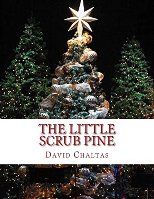 The Little Scrub Pine-..