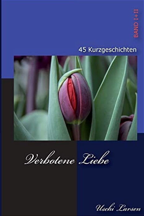 Verbotene Liebe: 45 Erotische Kurzgeschichten-..