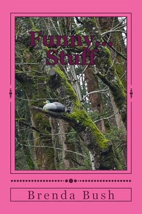Funny... Stuff: A Collection Of Stories, Jokes, Quips And Quotes-..