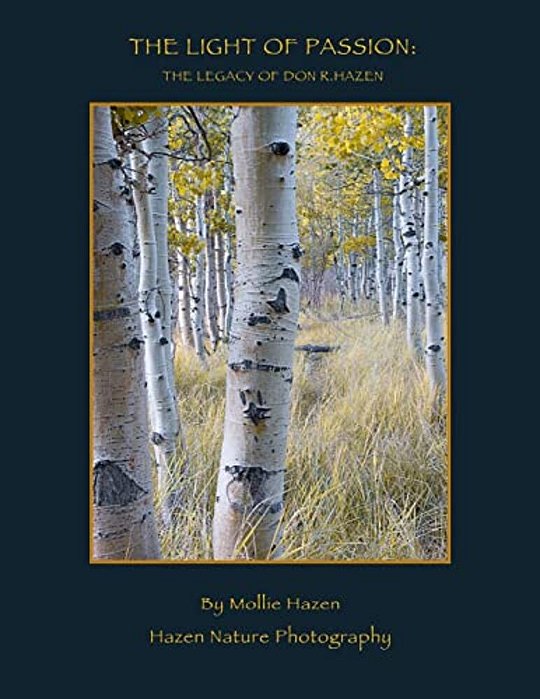 The Light Of Passion: The Legacy Of Don R. Hazen-..
