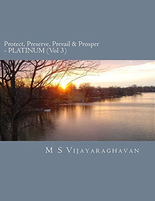 Protect, Preserve, Prevail And Prosper - Platinum (Vol 3): Business Protection Compendium From Disasters-..