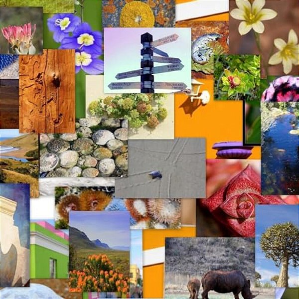 Colours Of South Africa-..