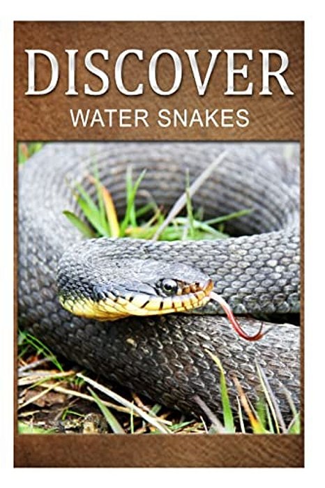 Water Snake - Discover: Early Reader's Wildlife Photography Book-..