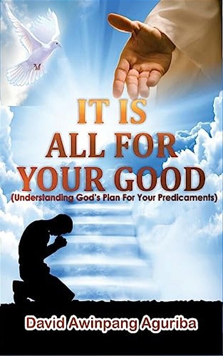 It Is All For Your Good: (Understanding God's Plan For Your Predicaments)-..