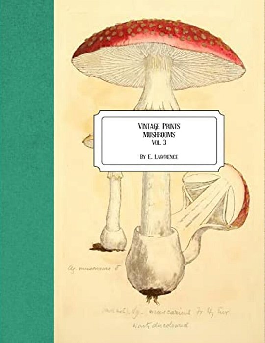Vintage Prints: Mushrooms: Vol. 3-..