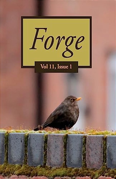 Forge 11.1-..