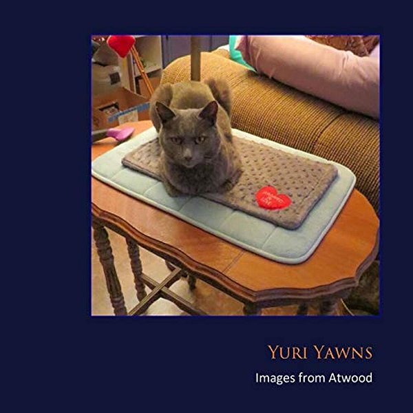 Yuri Yawns: Images From Atwood-..