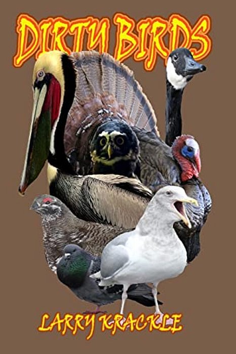 Dirty Birds-..
