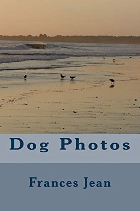 Dog Photos-..