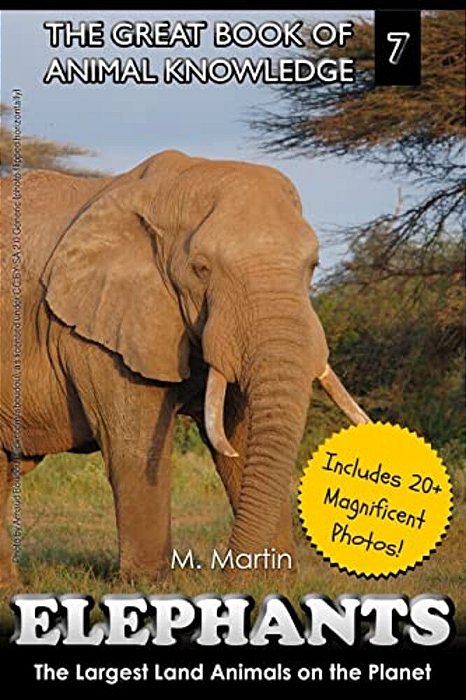 Elephants: The Largest Land Animals On The Planet-..