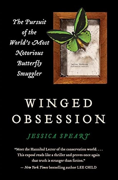 Winged Obsession-..
