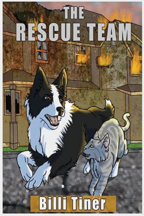 The Rescue Team-..