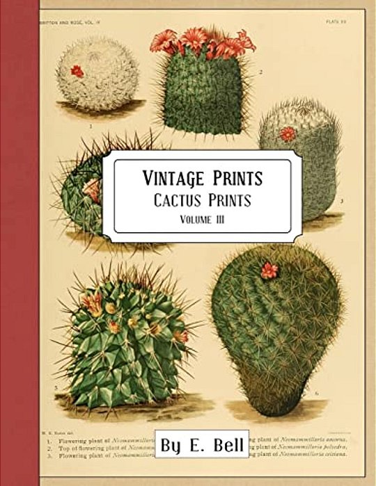 Vintage Prints: Cactus Prints-..