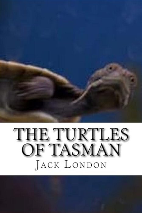 The Turtles Of Tasman-..