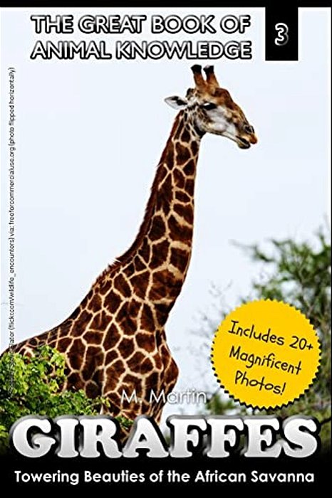 Giraffes: Towering Beauty Of The African Savanna-..