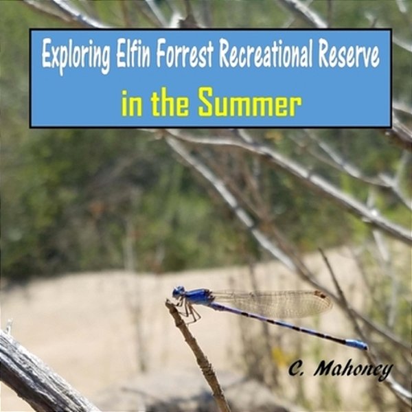 Exploring Elfin Forrest Recreational Reserve In The Summer-..