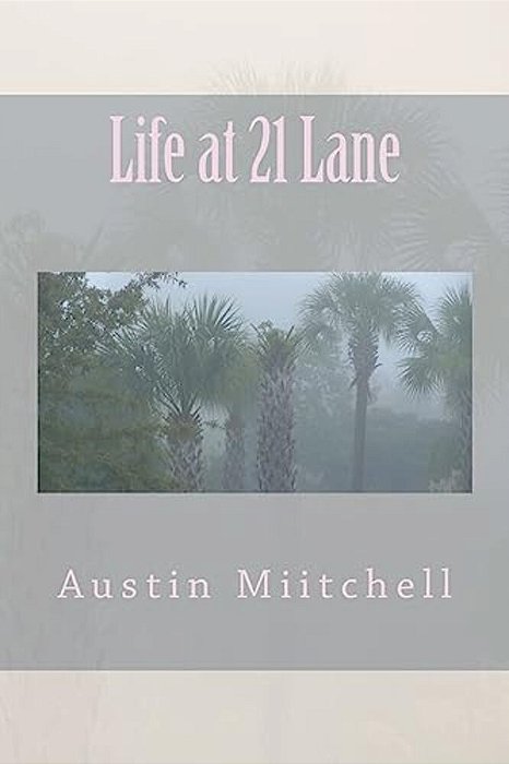 Life At 21 Lane-..