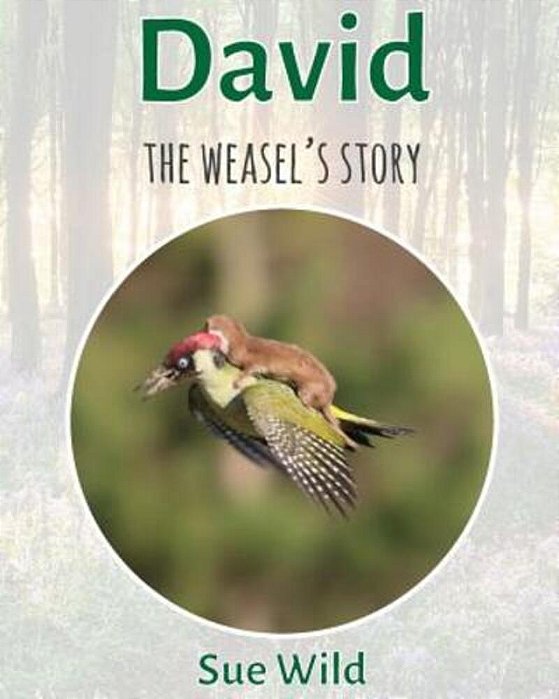 David: The Weasel's Story-..