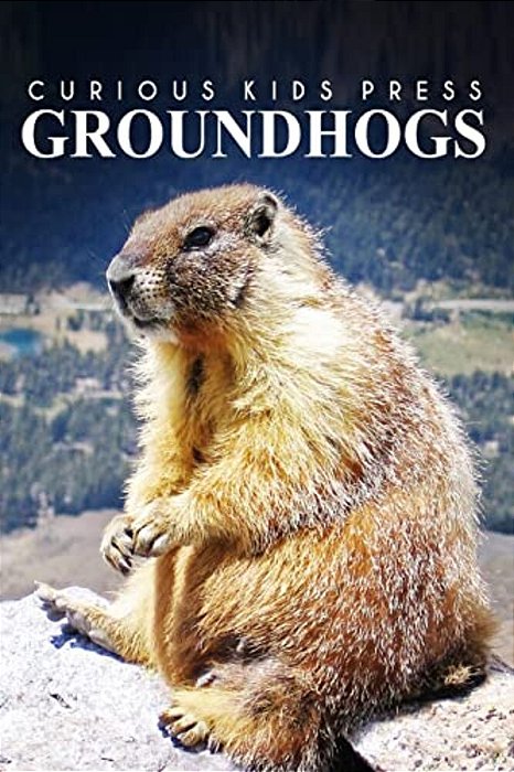 Groundhogs - Curious Kids Press: Kids Book About Animals And Wildlife, Children's Books 4-6-..