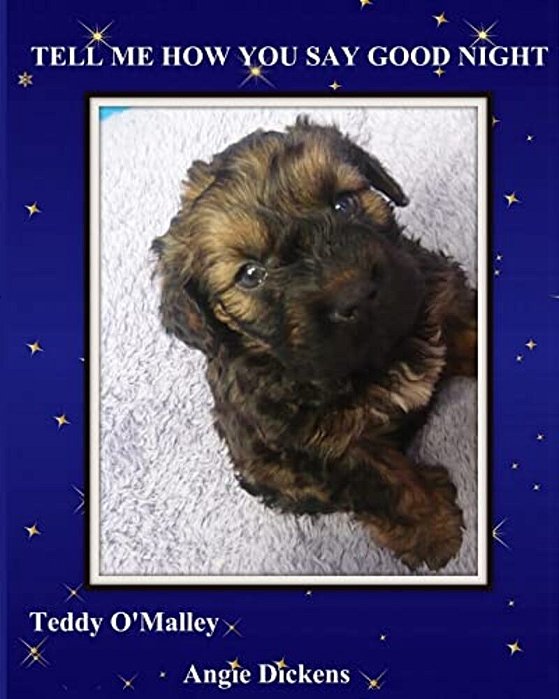 Tell Me How You Say Good Night-..