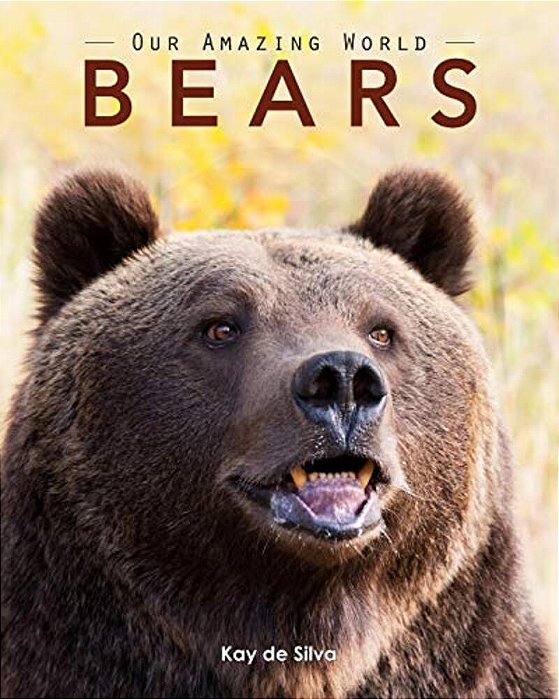 Bears: Amazing Pictures & Fun Facts On Animals In Nature-..