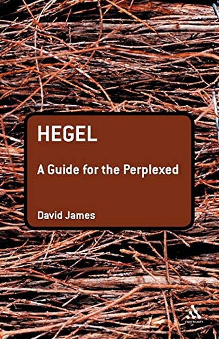 Hegel: A Guide For The Perplexed-..
