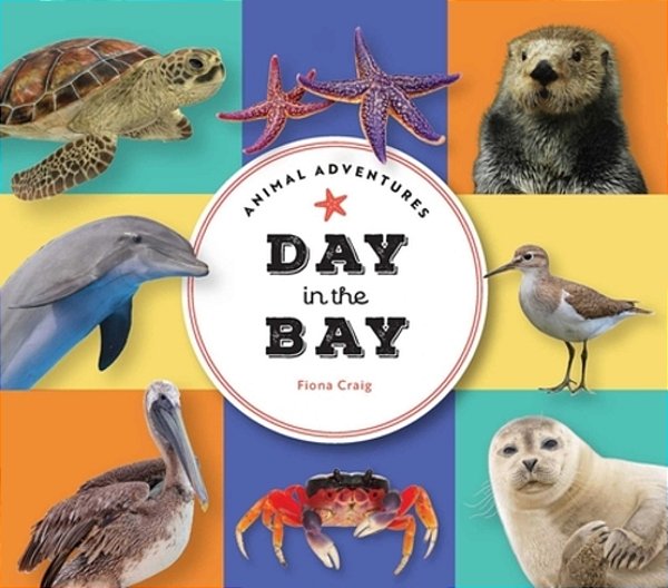 Animal Adventures: Day In The Bay-..
