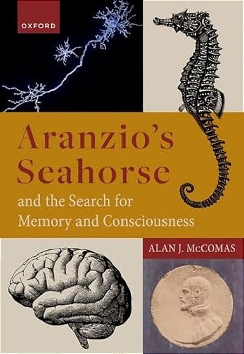 Aranzio's Seahorse And The Search For Memory And Consciousness-..