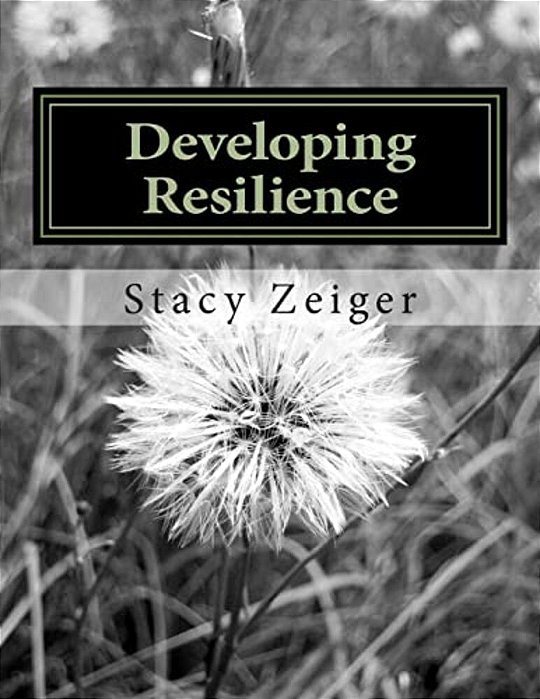 Developing Resilience: A Workbook For Teens-..