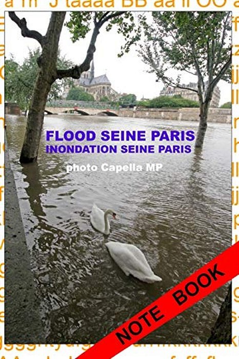 Inondation Seine Paris 2016: Flood Seine Paris-..