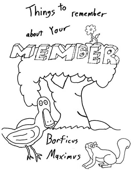 Things To Remember About Your Member: A Whimsical Coloring Book For Adults-..
