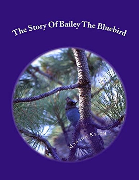 The Story Of Bailey The Bluebird-..