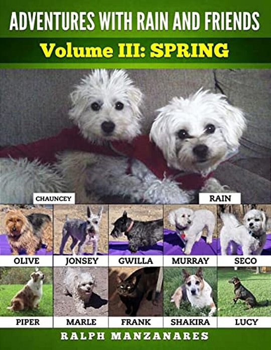 Adventures With Rain And Friends Volume III Spring-..