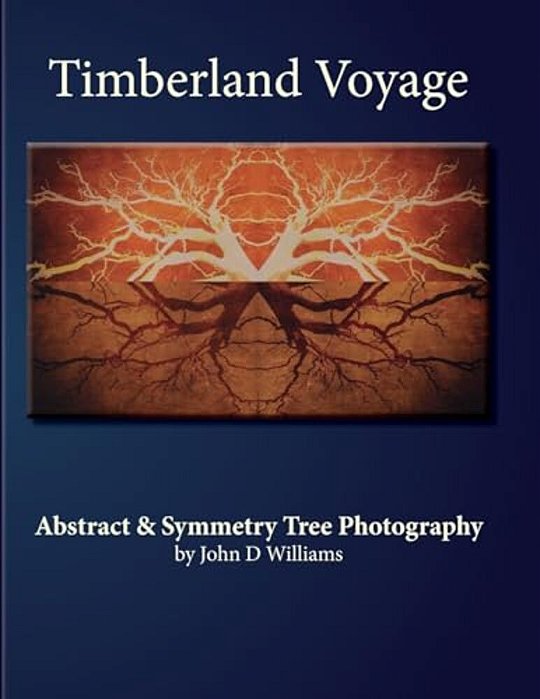 Timberland Voyage: Tree Abstract & Symmetry Art Photography-..