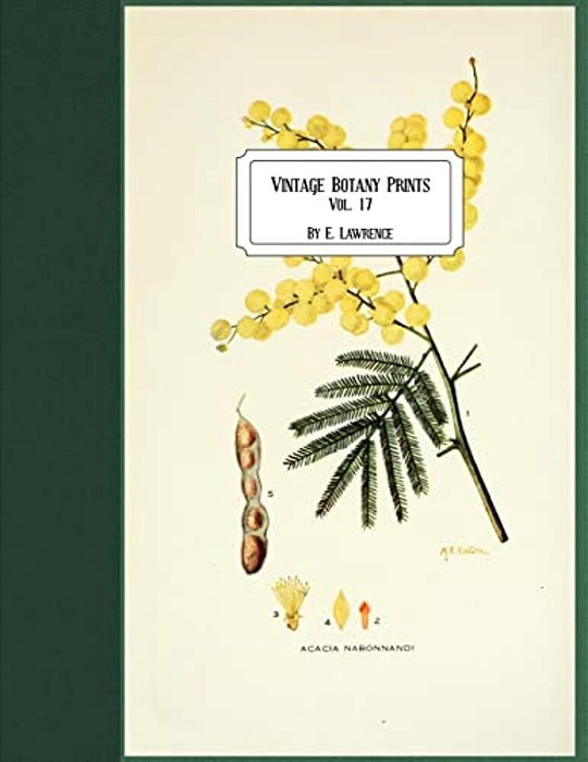 Vintage Botany Prints: Vol. 17-..
