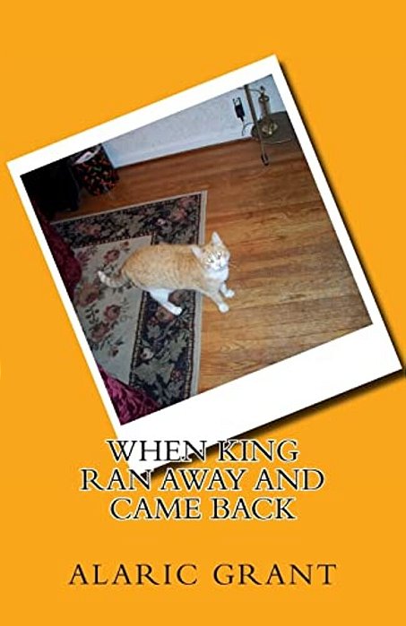 When King Ran Away And Came Back-..