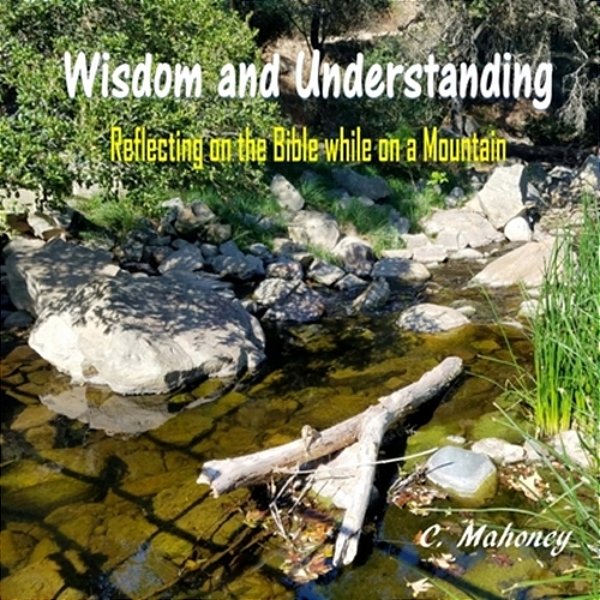Wisdom And Understanding: Reflecting On The Bible While On A Mountain-..