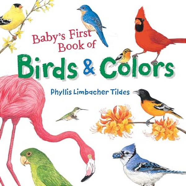 Baby's First Book Of Birds & Colors-..