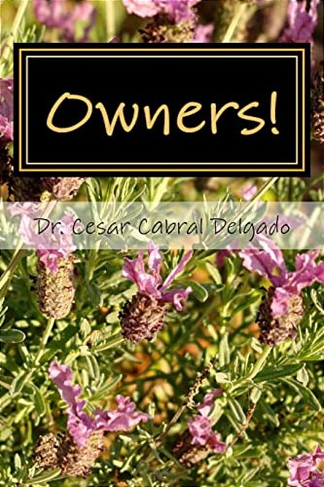 Owner!: A Guide For Developing Personal Responsibility, Real Happiness And Democratic Living Skills In Our Modern Complex Worl-..