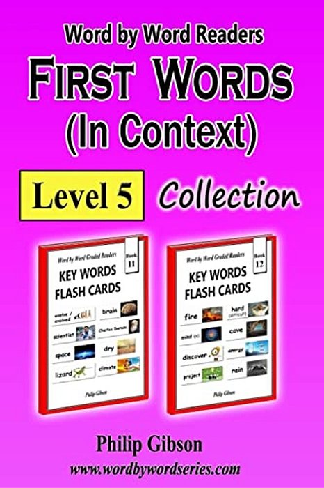 First Words In Context: Level 5: Learn The Important Words First. -..