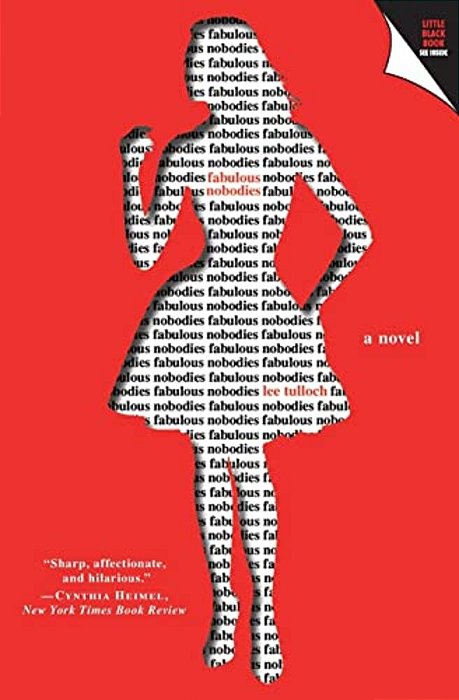 Fabulous Nobodies: A Novel About A Girl Who's In Love With Her Clothes-..
