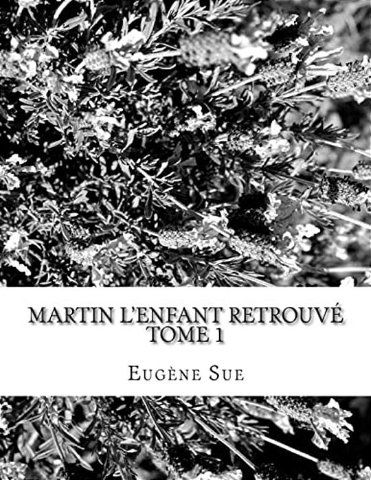 Martin L'Enfant Retrouvé-..