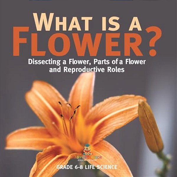 What Is A Flower? Dissecting A Flower, Parts Of A Flower And Reproductive Roles Grade 6-8 Life Science-..