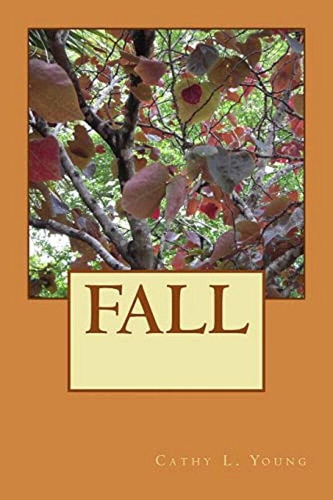 Fall: None-..