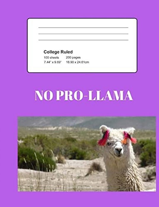 No Pro-Llama-..