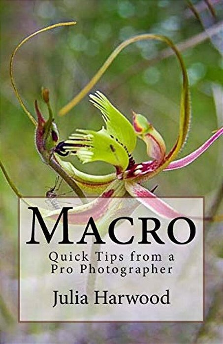 Macro-..