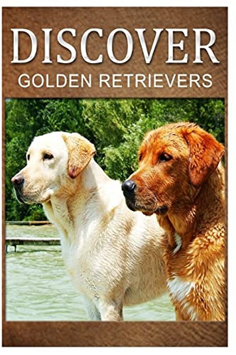 Golden Retrievers - Discover: Early Reader's Wildlife Photography Book-..