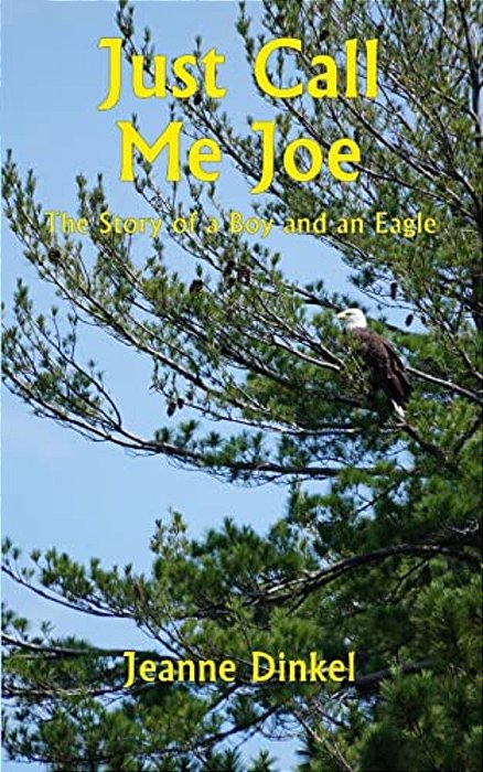 Just Call Me Joe: The Story Of A Boy And An Eagle-..